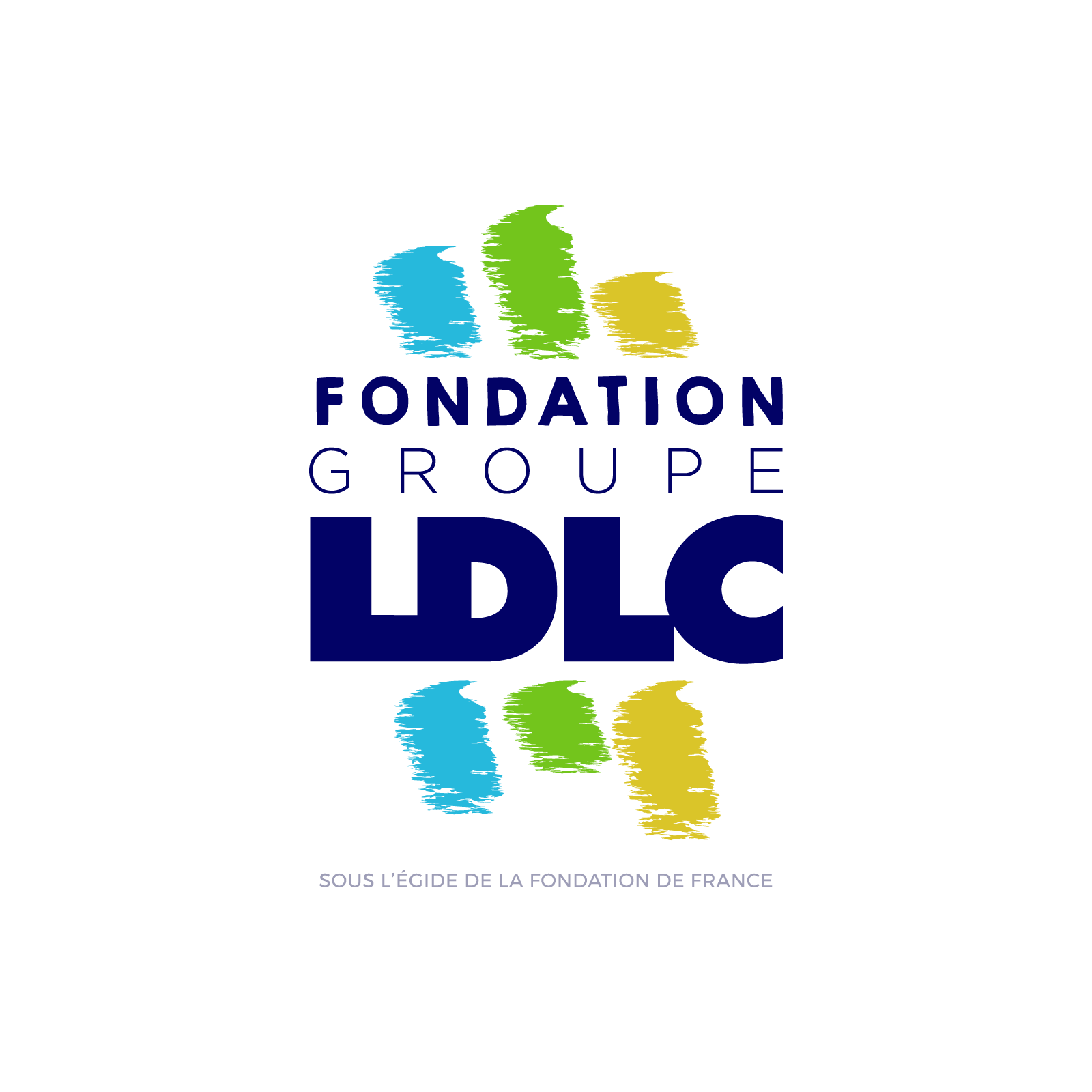 Fondation Groupe LDLC
