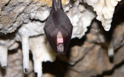 Demain c&rsquo;est ici et maintenant